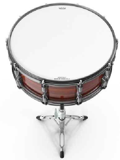 Snare